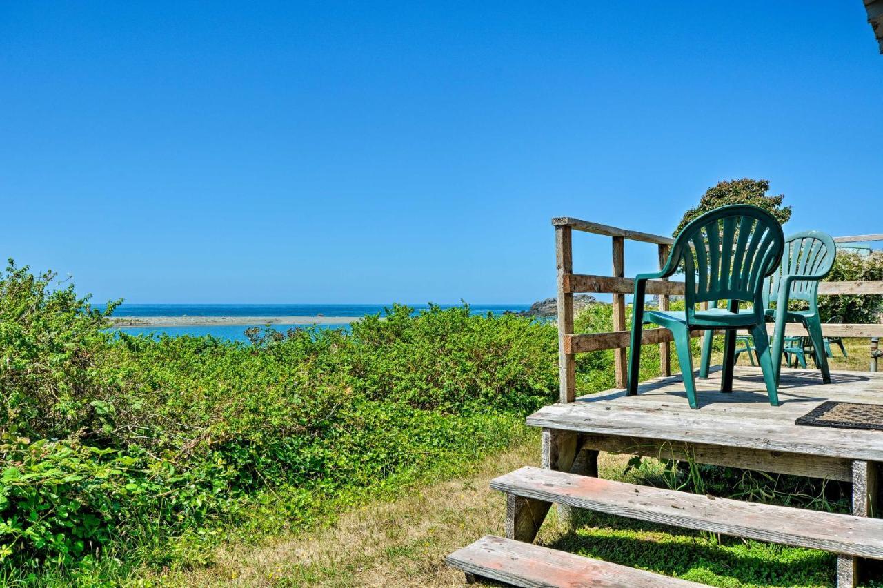 Smith River Vintage Cabin Oceanfront Deck And Views Εξωτερικό φωτογραφία
